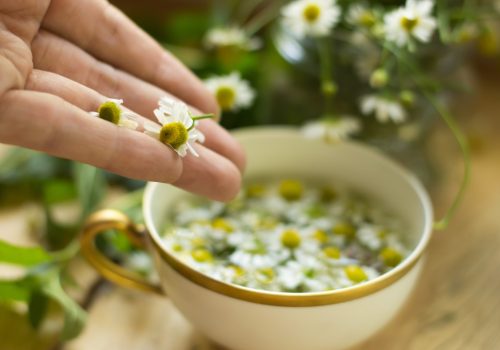 making-healing-chamomile-tea-healthy-natural-medicine-flowers-background-photography_t20_1bkBl9